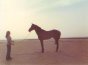 Abqaiq76's profile picture