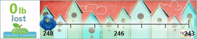 Alissa's weight loss ticker