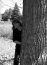 Berna's profile picture