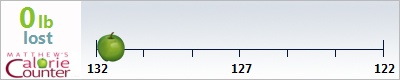Bernice's weight loss ticker