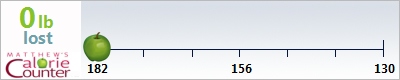 Deb's weight loss ticker