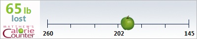 Djall's weight loss ticker