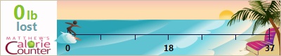 DragicaG's weight loss ticker