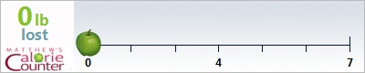 Elise's weight loss ticker