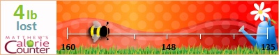 Evangelin's weight loss ticker