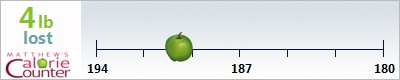 Ironman's weight loss ticker