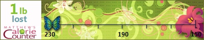 Isabel's weight loss ticker