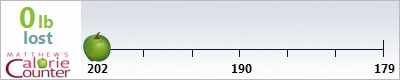 James's weight loss ticker
