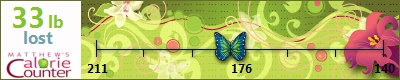 Jannine's weight loss ticker
