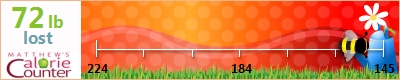 Jill's weight loss ticker