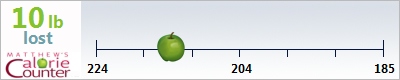 Jim's weight loss ticker