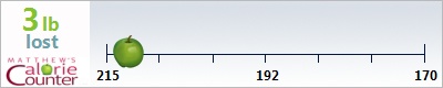 JoAnne's weight loss ticker