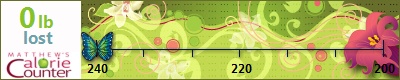 Kendra's weight loss ticker