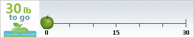 LaliAM's weight loss ticker