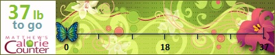 Melissaleach78's weight loss ticker