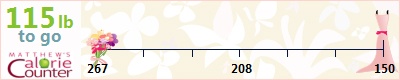 Michelle's weight loss ticker