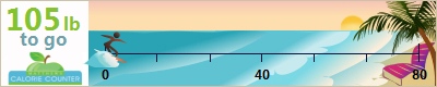 MissPP's weight loss ticker