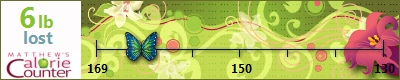 Mummyof3's weight loss ticker