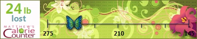 MysticDream's weight loss ticker