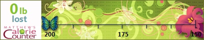 Mystikndn's weight loss ticker