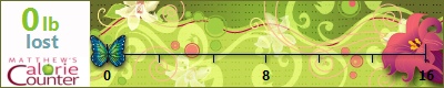 Nikolbm's weight loss ticker