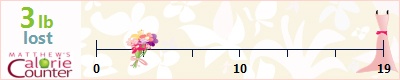 Passing Fancy's weight loss ticker