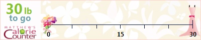 Pat70's weight loss ticker