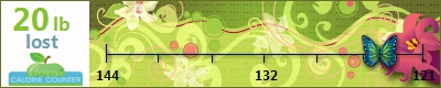 Paula Jo's weight loss ticker