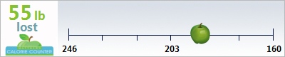 Phoenixstephg's weight loss ticker