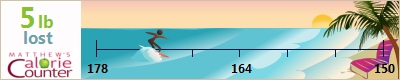 Sandyp's weight loss ticker
