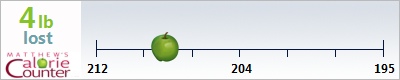 Steve d's weight loss ticker