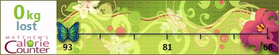 Toffeepop's weight loss ticker