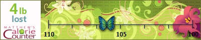 Wren's weight loss ticker