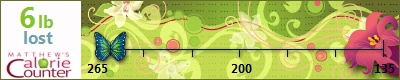 amcludwig's weight loss ticker