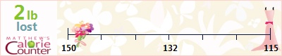 ani_09's weight loss ticker