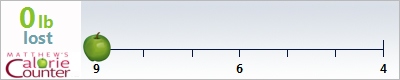 ashley's weight loss ticker