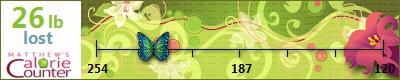 bhudson56's weight loss ticker