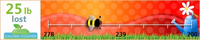 bopspring's weight loss ticker