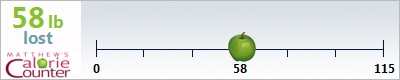 countdown2010's weight loss ticker