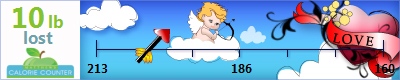 deann63's weight loss ticker