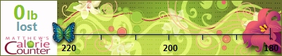 deedionne's weight loss ticker