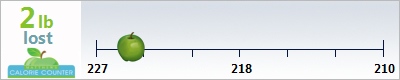 dennisjallen's weight loss ticker