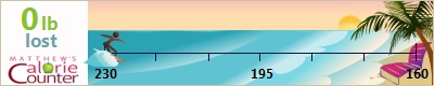 dietdiva's weight loss ticker