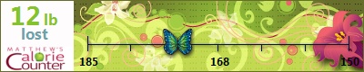 dlmcm's weight loss ticker