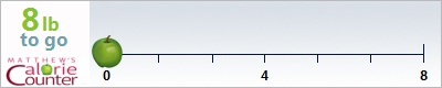 heidiclench's weight loss ticker