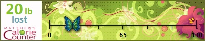 jalgerman's weight loss ticker
