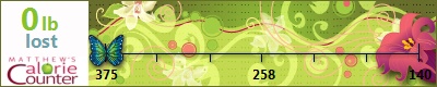 jaynecobb42's weight loss ticker