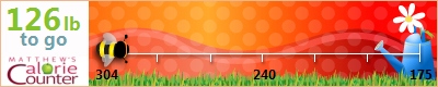jennifer smicer's weight loss ticker