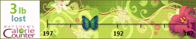 jennyfinn's weight loss ticker