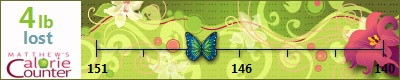 judyh's weight loss ticker